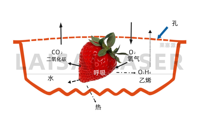 激光打孔——氣調(diào)果蔬保鮮包裝運用方案(圖3)